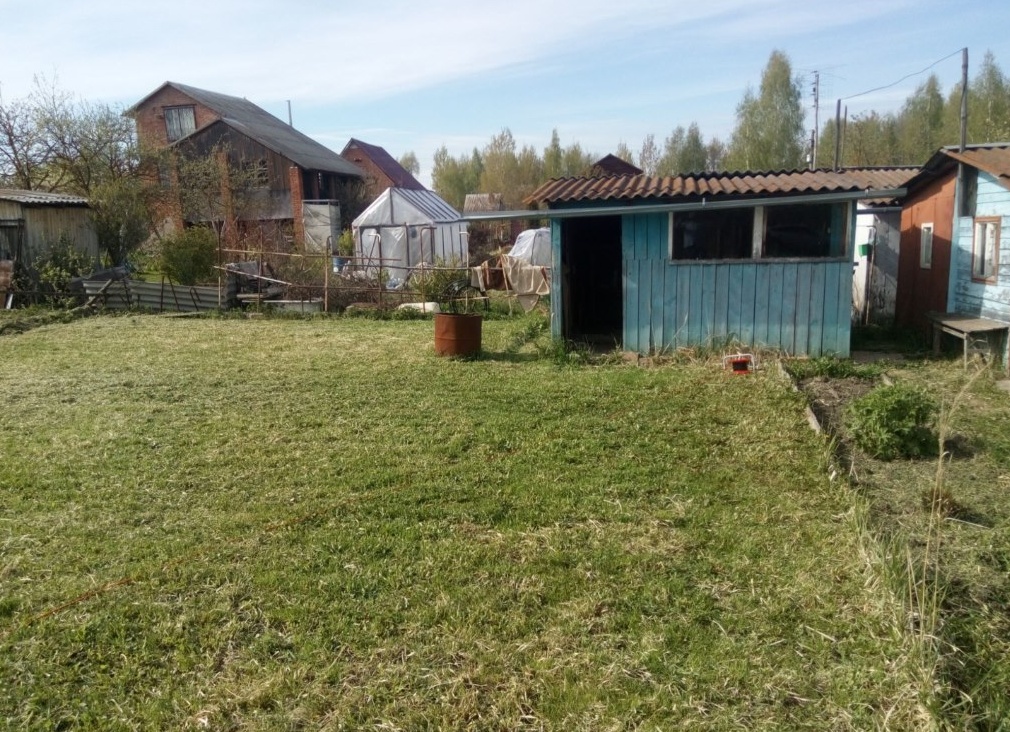Кому 6 соток дешево? Пять подмосковных дач стоимостью от 200 до 350 тыс. рублей