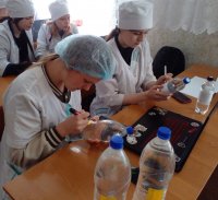 Студенческие проекты по биологии